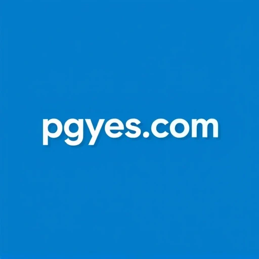 pgyes.com